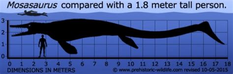 mosasaurus lifespan